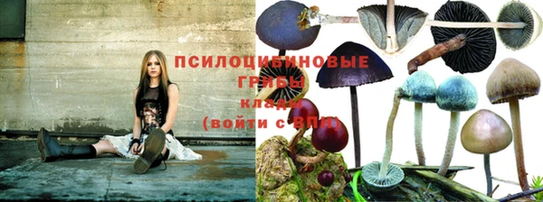 каннабис Арсеньев