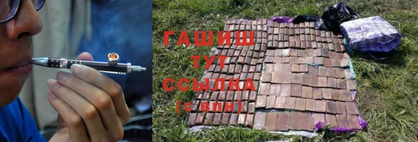 трава Балахна